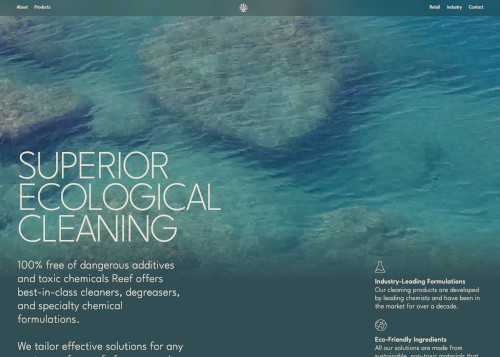 Reef Cleaning Company